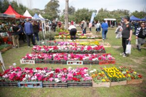 Plantas, captus, flores y productos naturales en la Feria Mi Pyme en Almirante Brown
